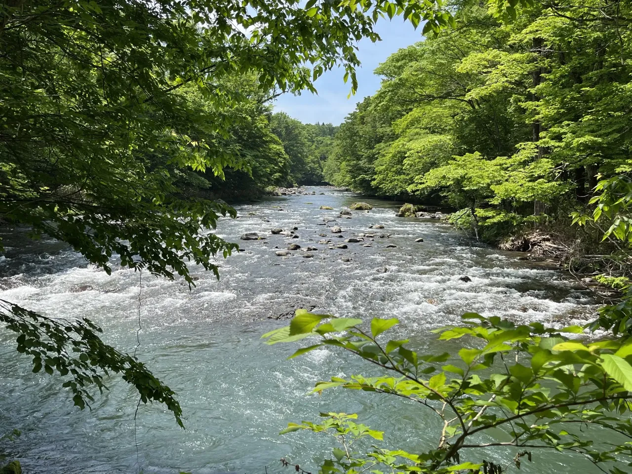 Oirase・Lake Towada (Aomori Prefecture) 2 nights 3 days - Solo trip to fully enjoy the lush greenery - Juneのアイキャッチ画像